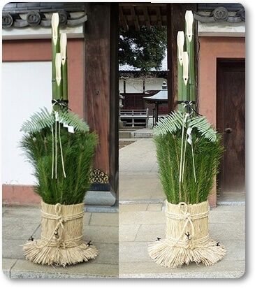 ソギ