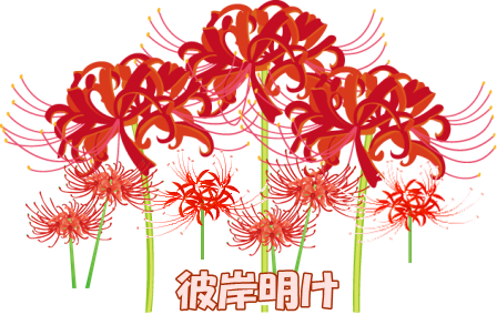 イメージ 7