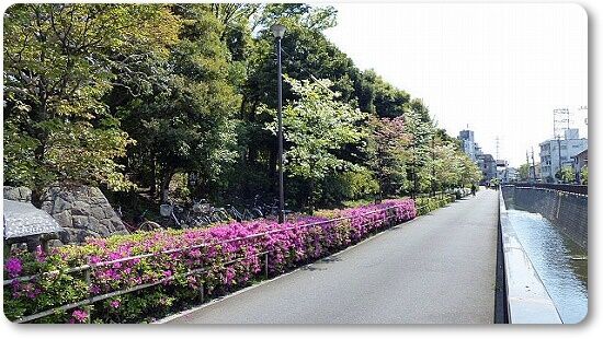 平和の森公園