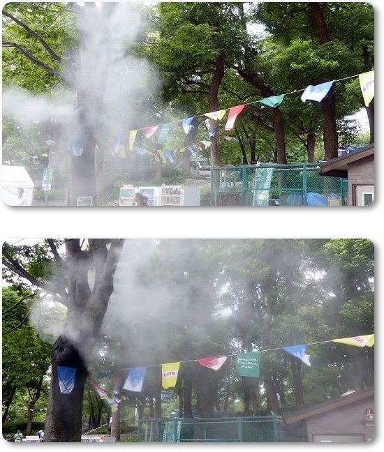 イメージ 7