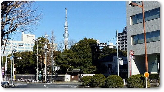 イメージ 7