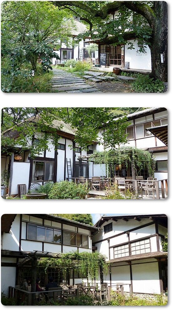 イメージ 5