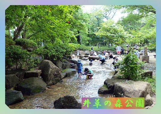 conv0084