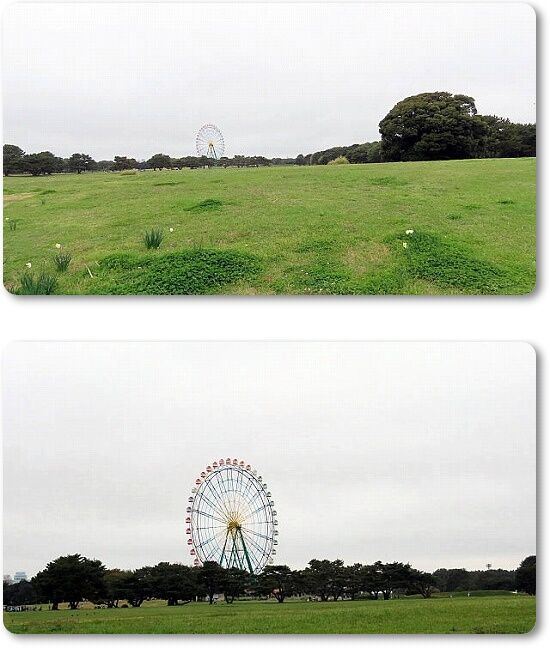 1原っぱ