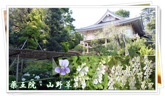 conv0019