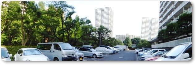 イメージ 12