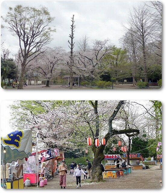 3高稲荷神社