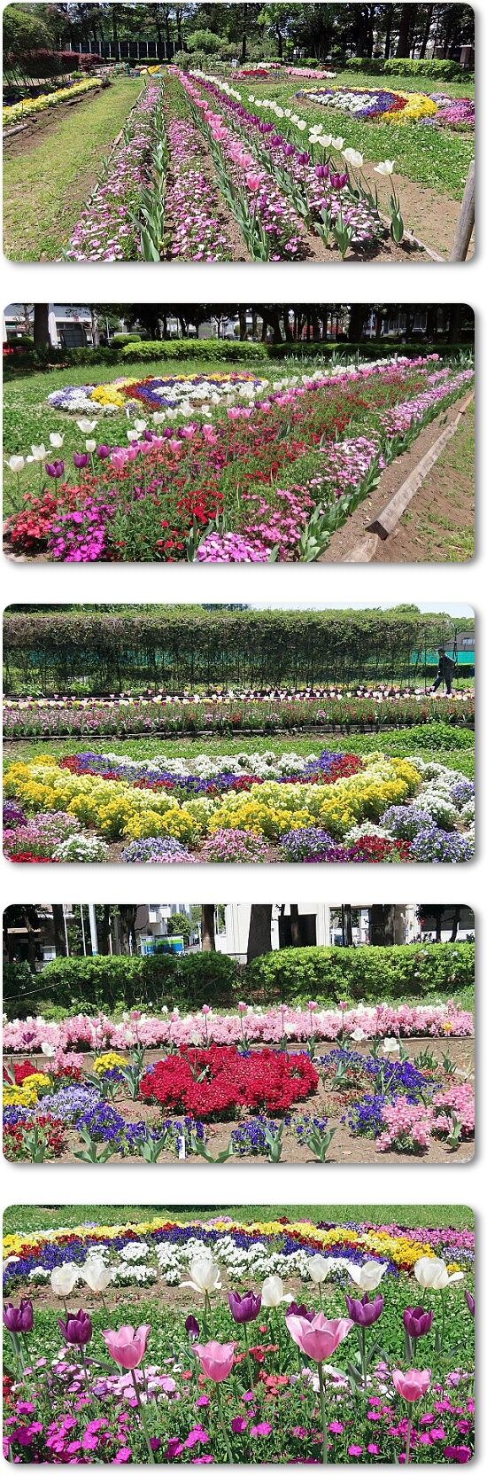 4花壇