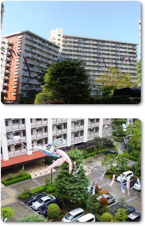 イメージ 10