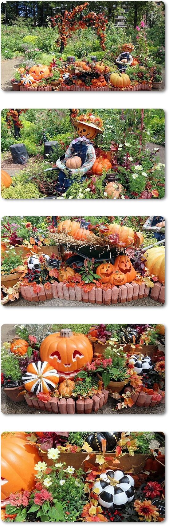 8ハローウィン