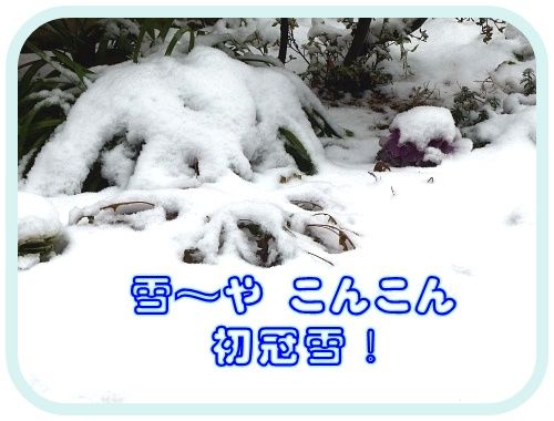 イメージ 14