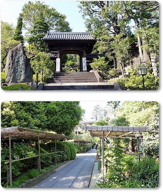 山門