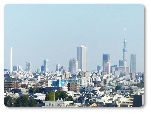 イメージ 6