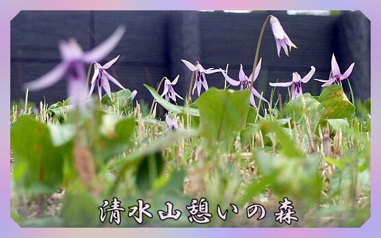 conv0134