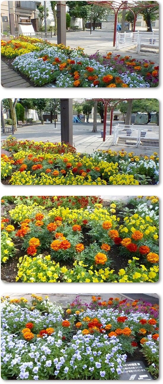南長崎花咲き公園