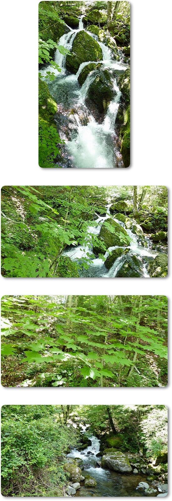 6もみじの滝