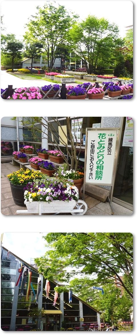 イメージ 2