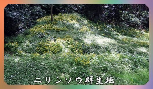 0題字