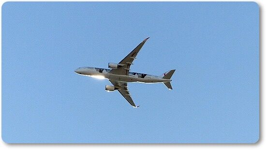 飛行機