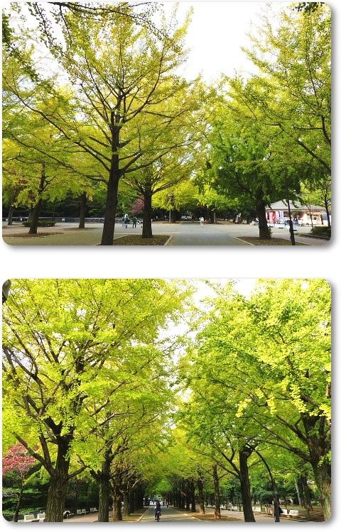イメージ 6