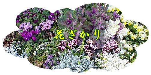 conv0046