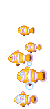 イメージ 6