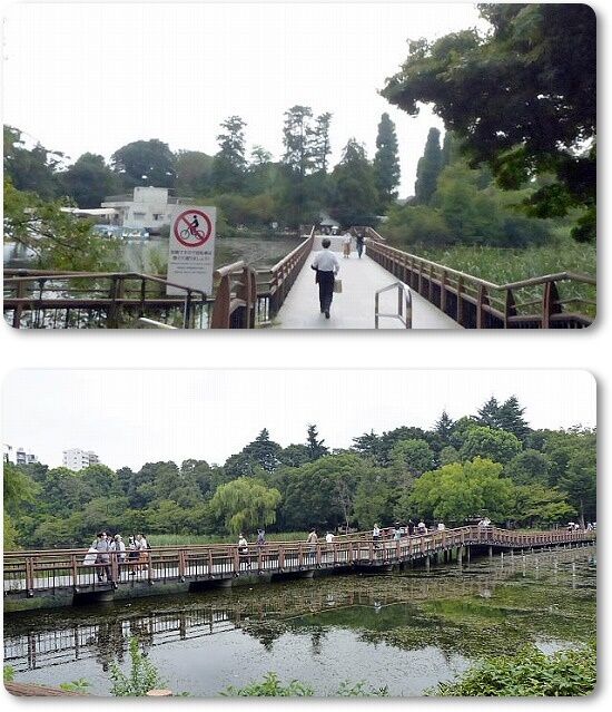 七井橋