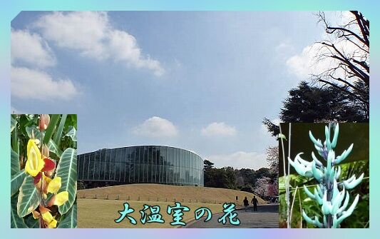 conv0340
