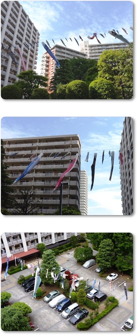 イメージ 5