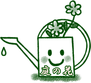 庭の花