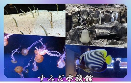 0題字
