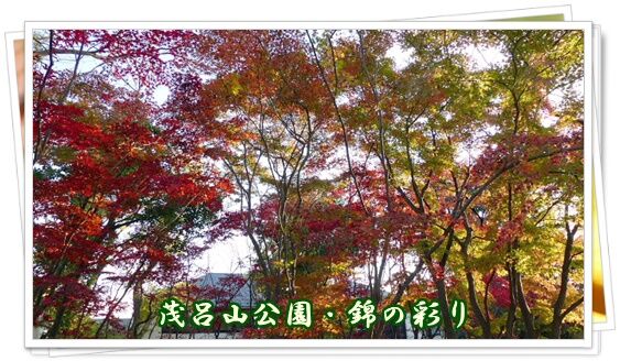 conv0011