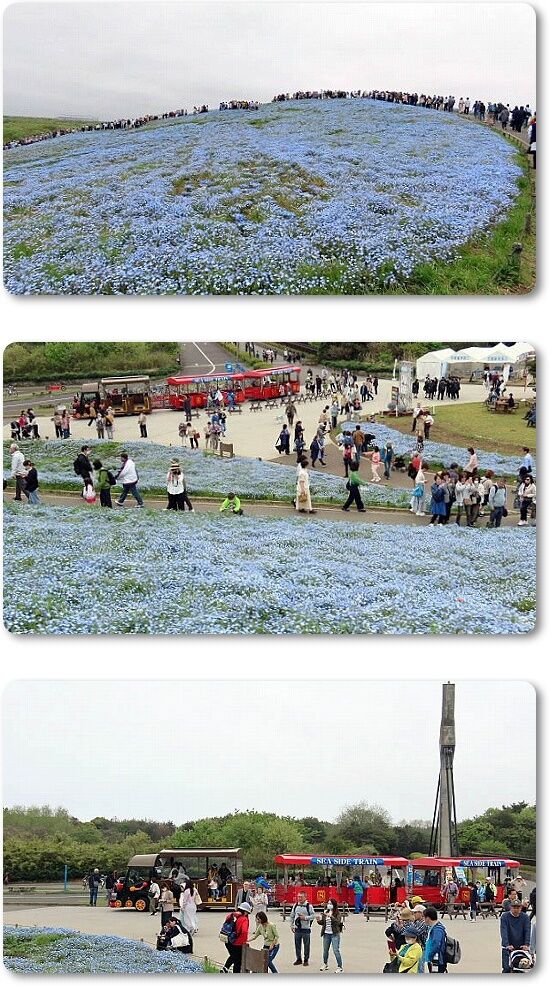 9頂上から