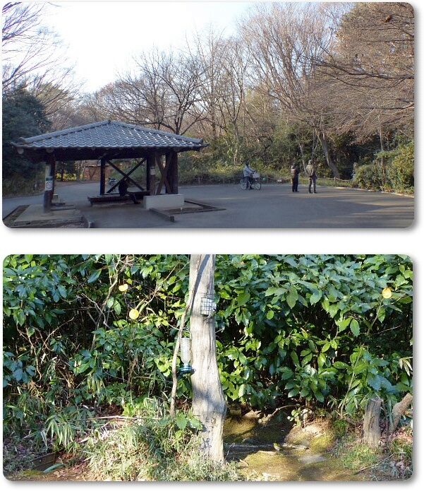 餌場