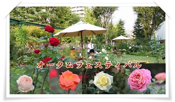 conv0240