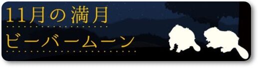 キャプチャ