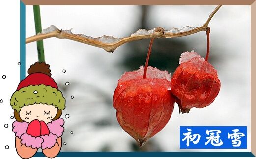 初冠雪