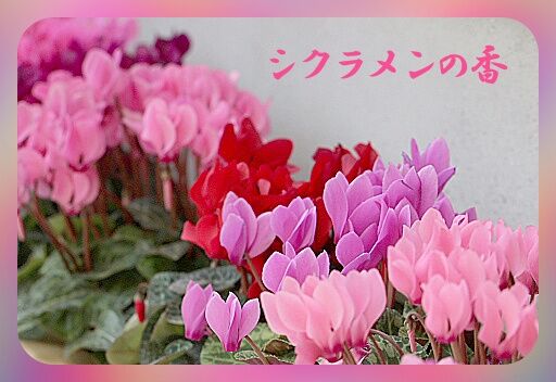 conv0038
