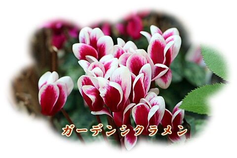 conv0040
