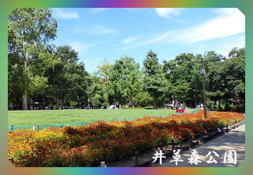 井草の森公園 自転車