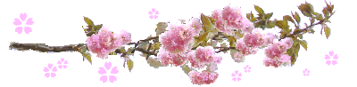 イメージ 8