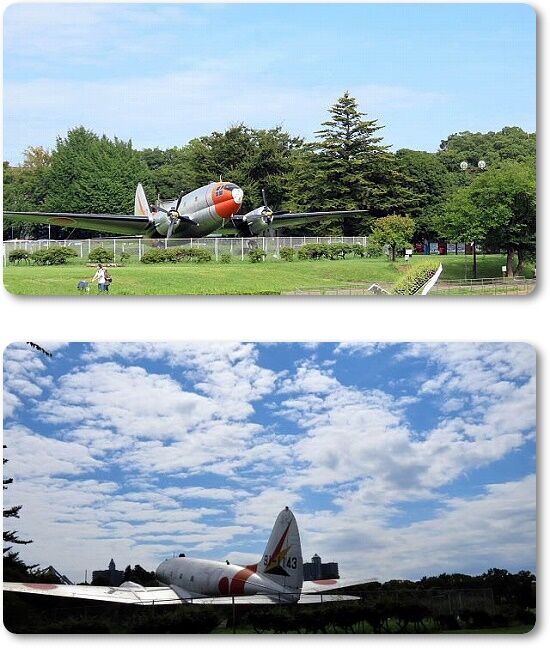 2飛行機と秋の空