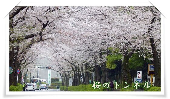 conv0059