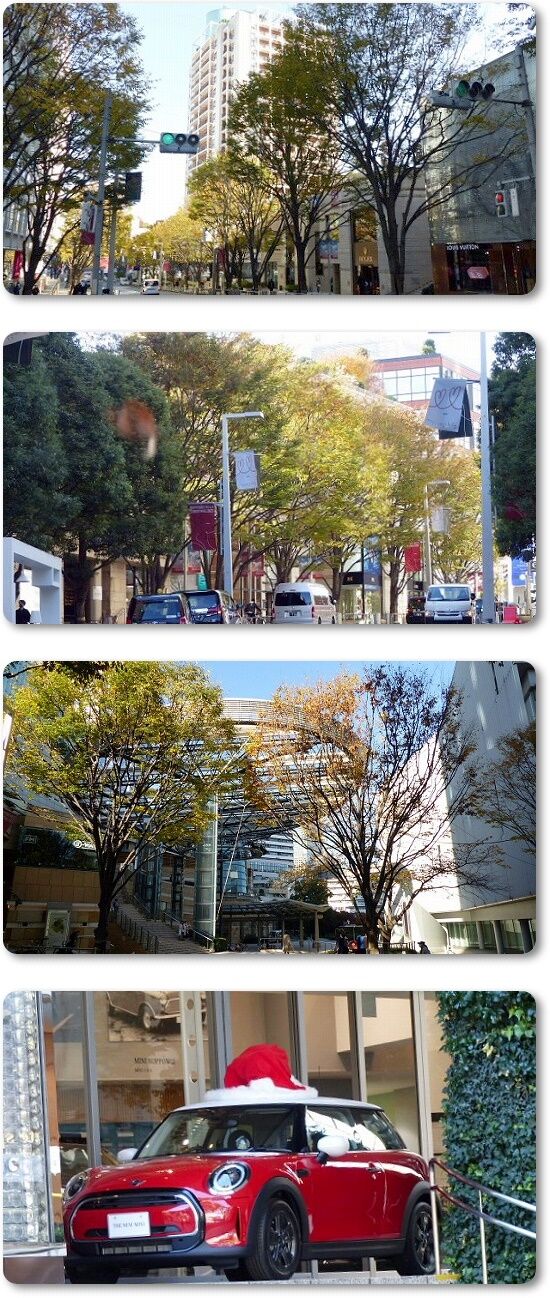 ケヤキ坂