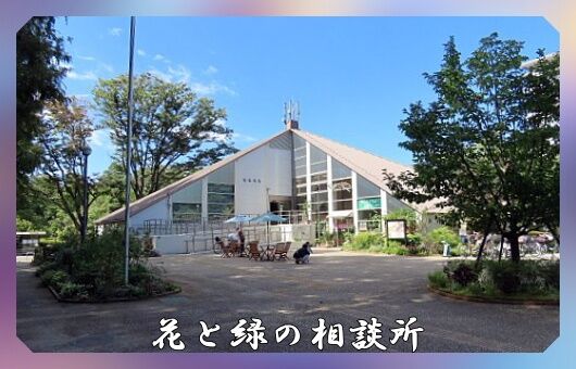 0題字