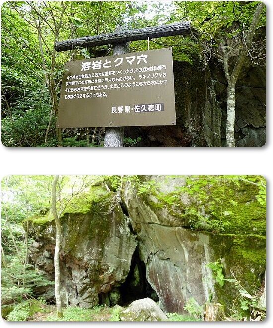 12熊穴