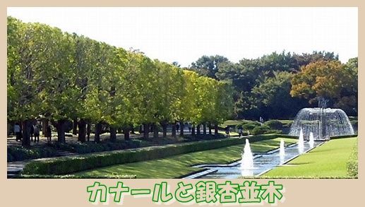 イメージ 7