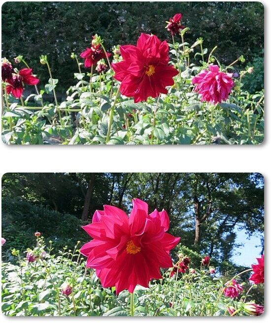 3蓬莱山