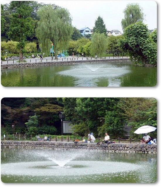 噴水