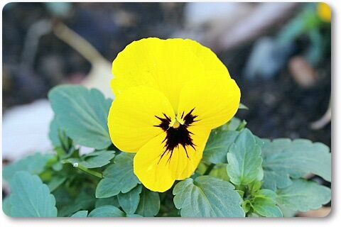 19年12月 Youko2のブログ